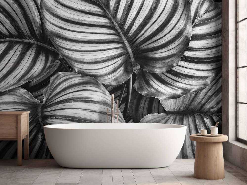 Plant with striped leaves