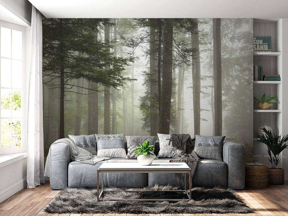 Beautiful foggy landscape