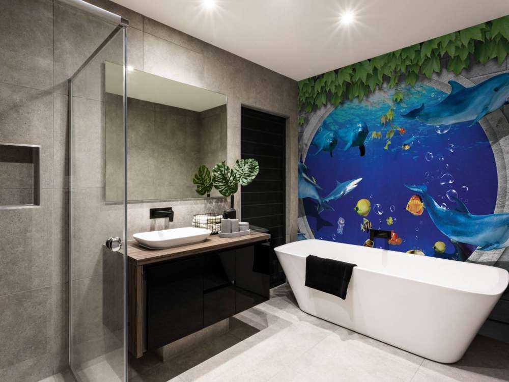Dolphins through the wall