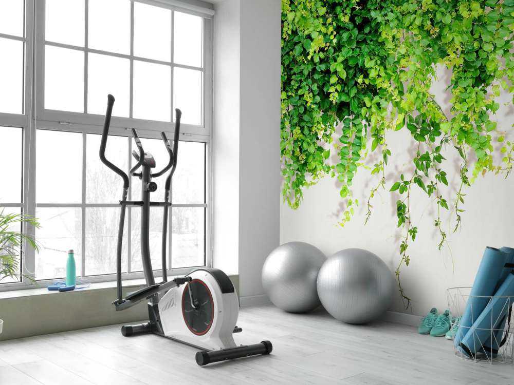 Green hanging branches