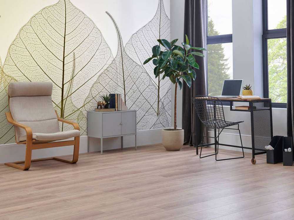 Skeleton leaves on coloured background