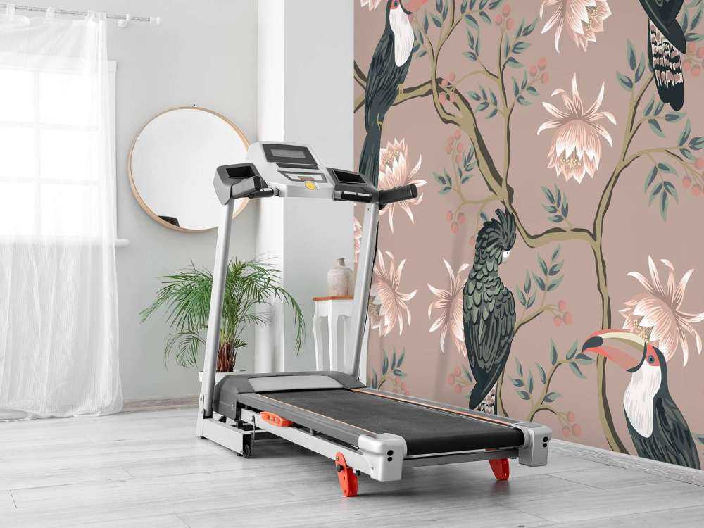 Toucan blossom dance