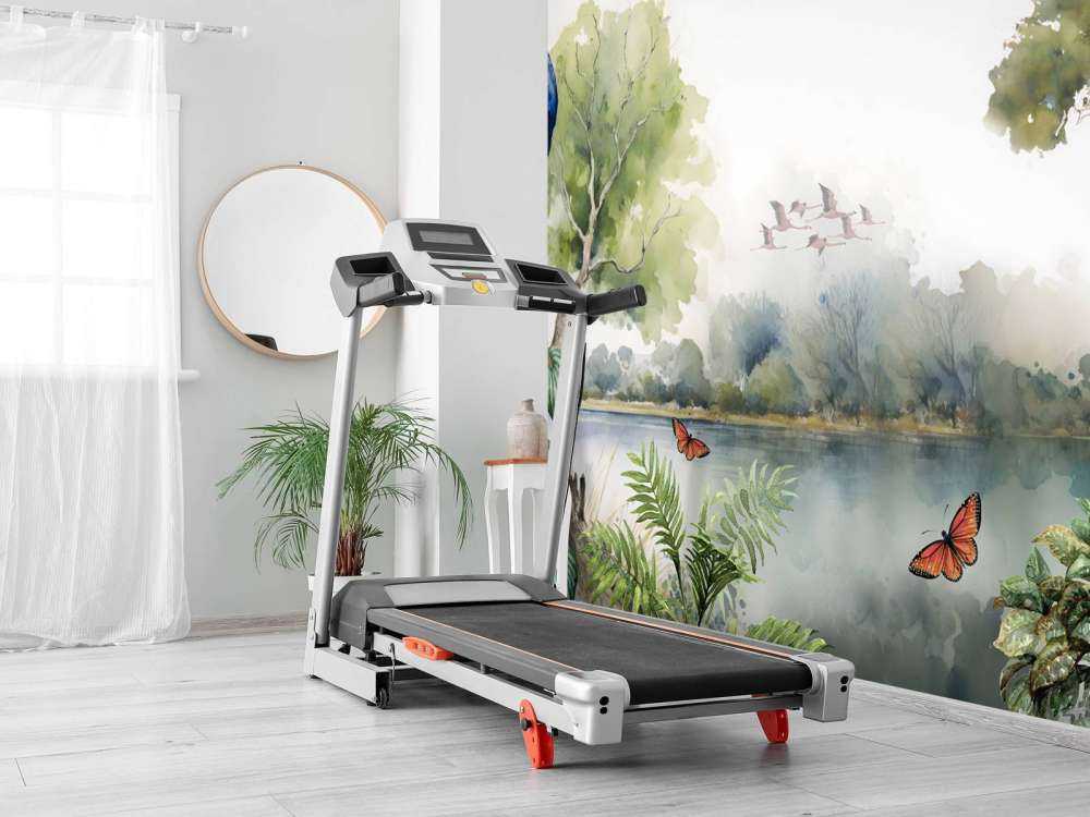 Peacock Paradise by the Water