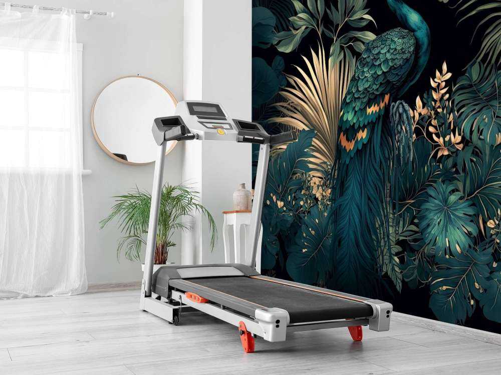 Nighttime Beauty of the Peacock