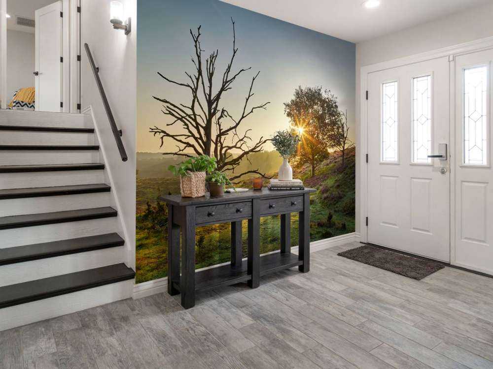 Rising sun on the heath