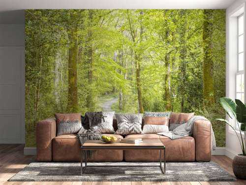 the green forest