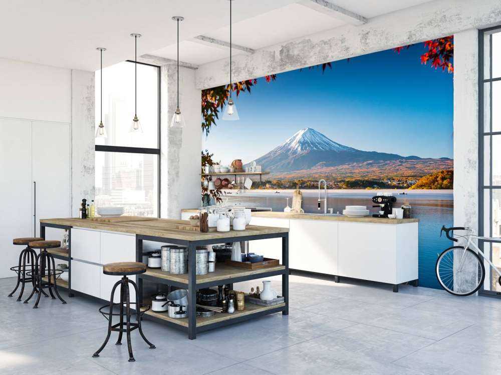 Mount Fuji in the afternoon