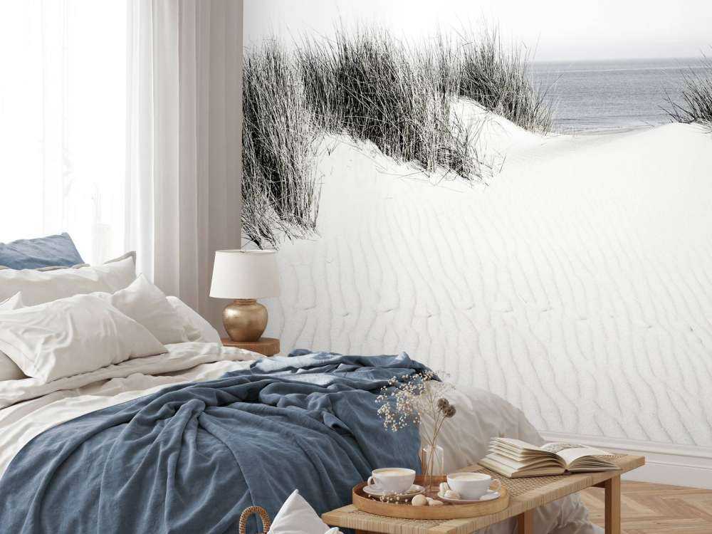 Dune passage to the beach black and white