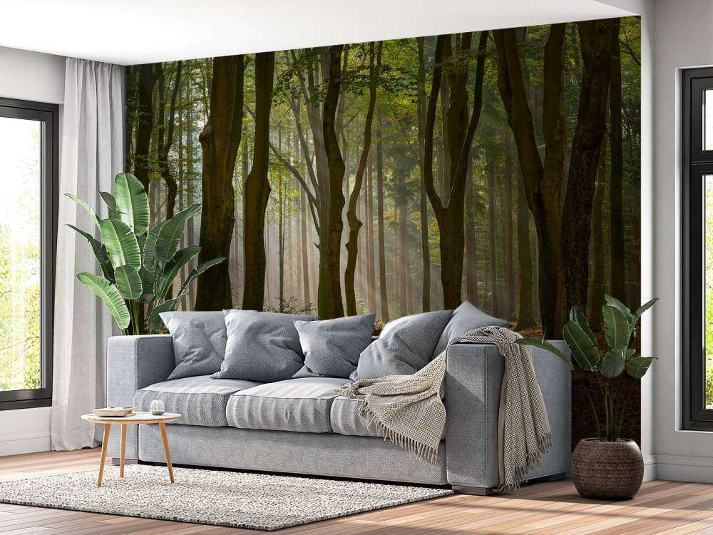 Sun rays at path through the forest