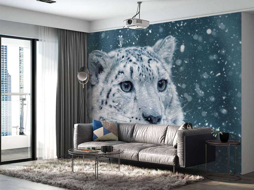 Snow leopard
