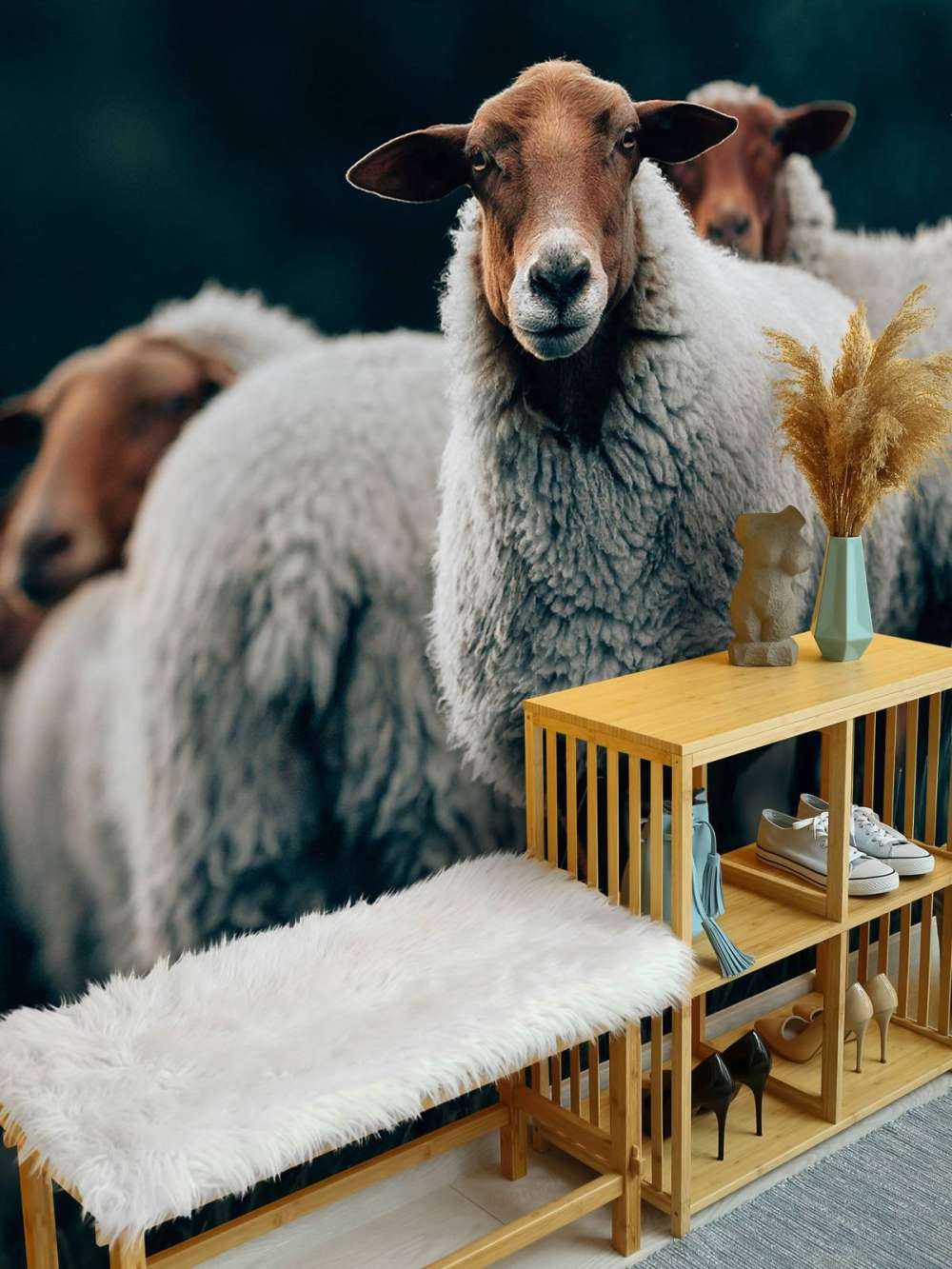 Sheep in the evening