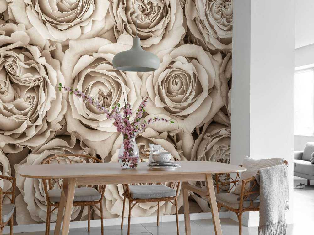 Background of roses