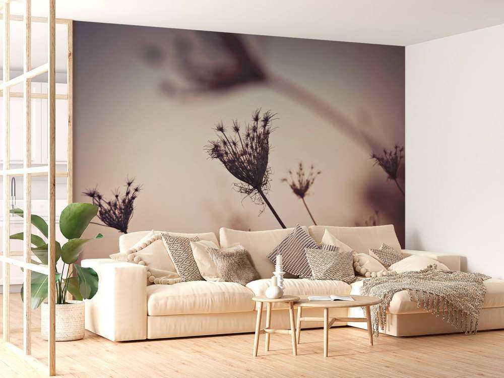 Silhouettes of plants