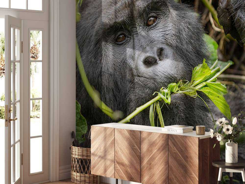 Gorilla between the branches