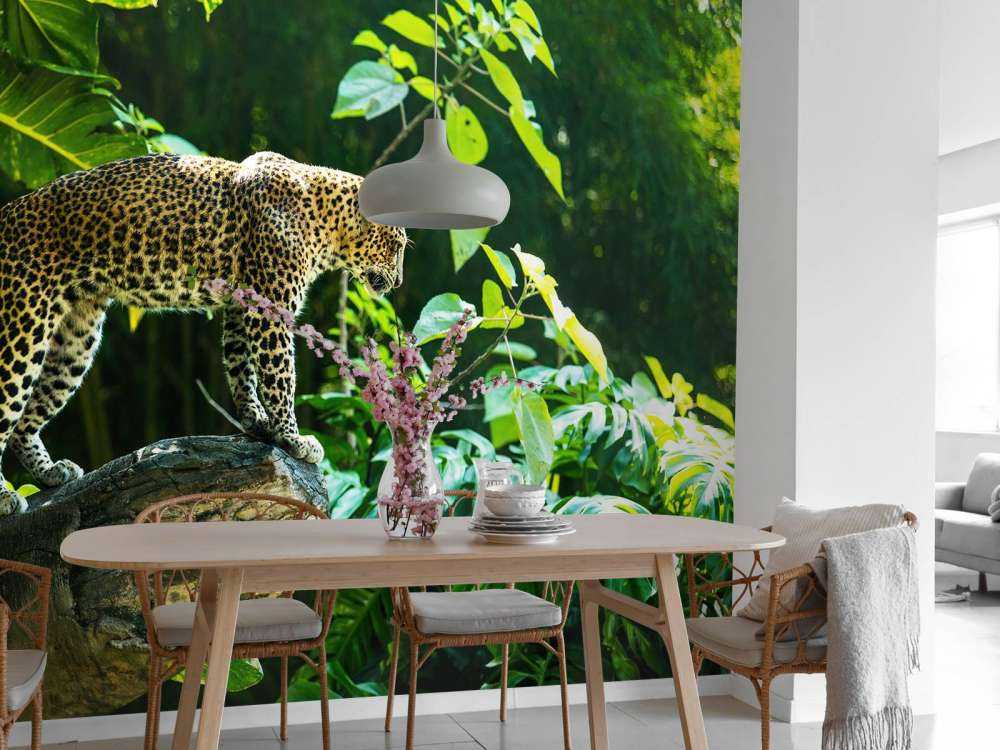 Leopard on a rock face