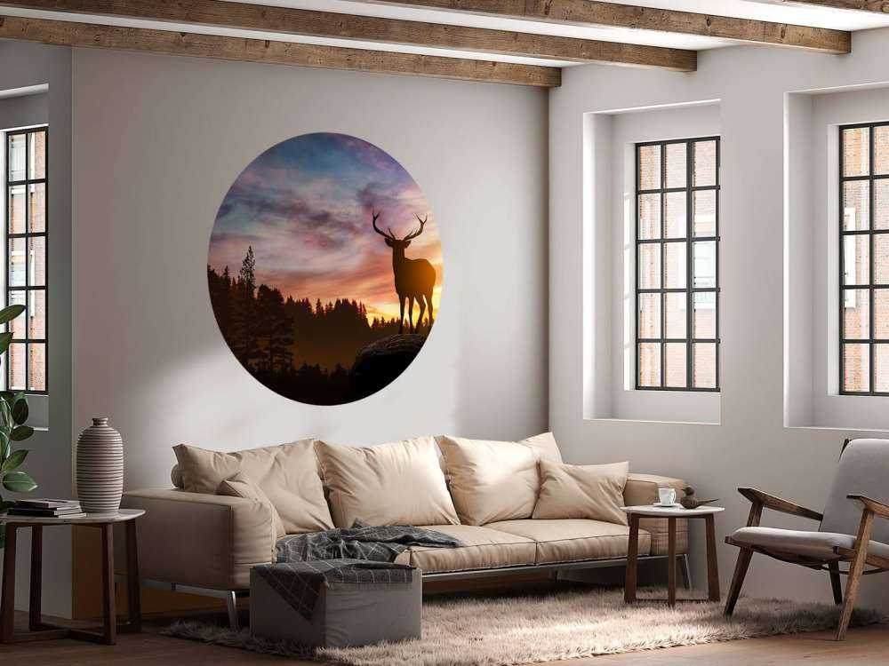 Deer with sunset