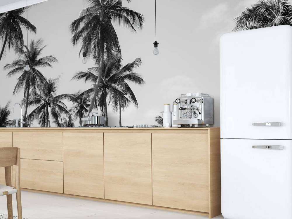 Palm trees in black and white