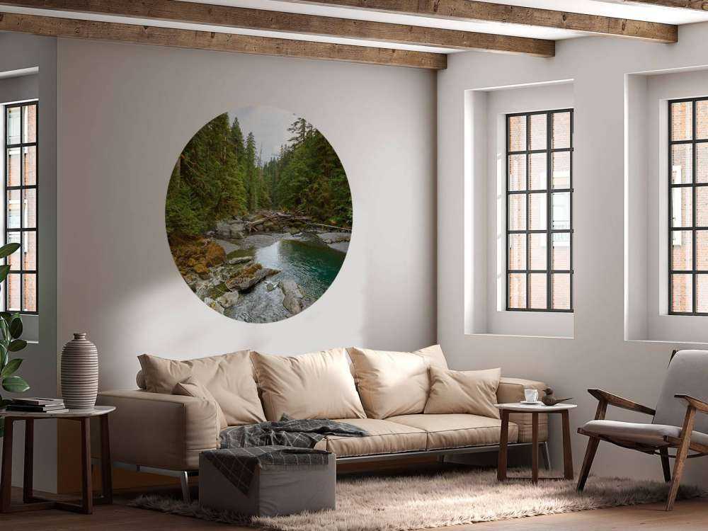 River with dam