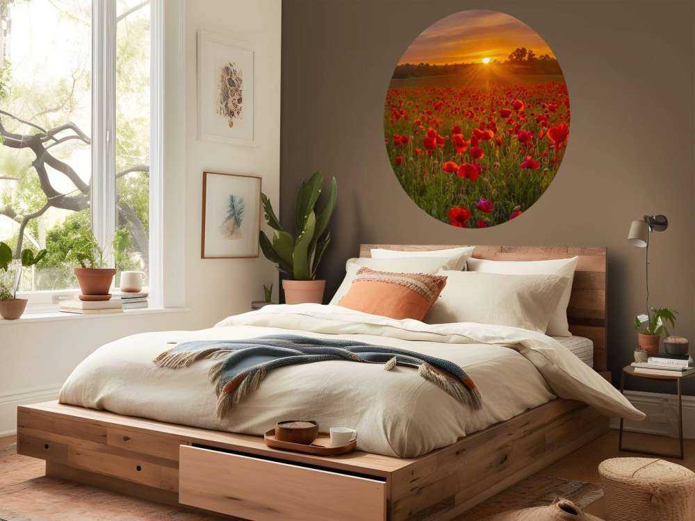 Flowering poppy field