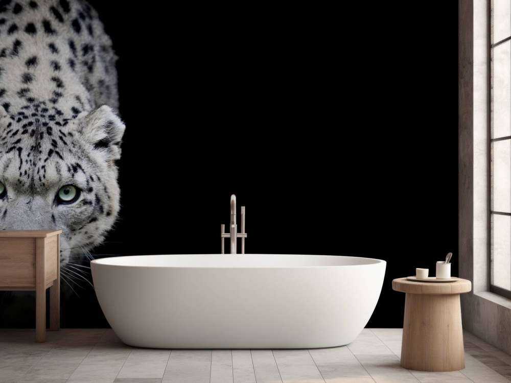 Snow leopard