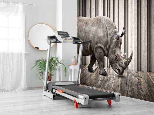 Rhinoceros in hall
