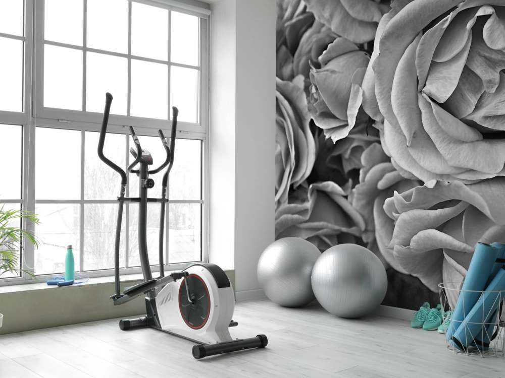 Roses black and white