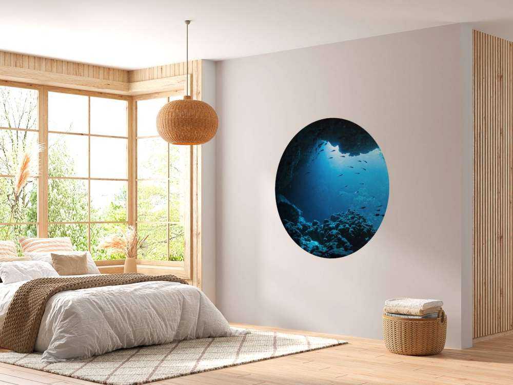 Underwater cave with fish