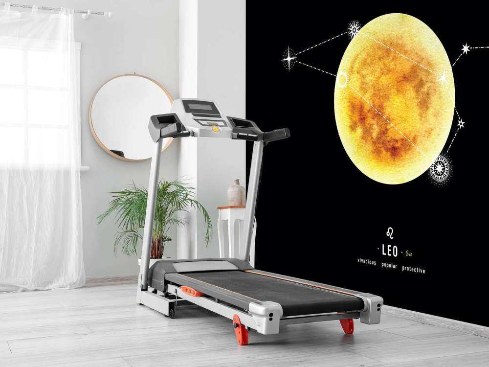 Constellation planet Leo