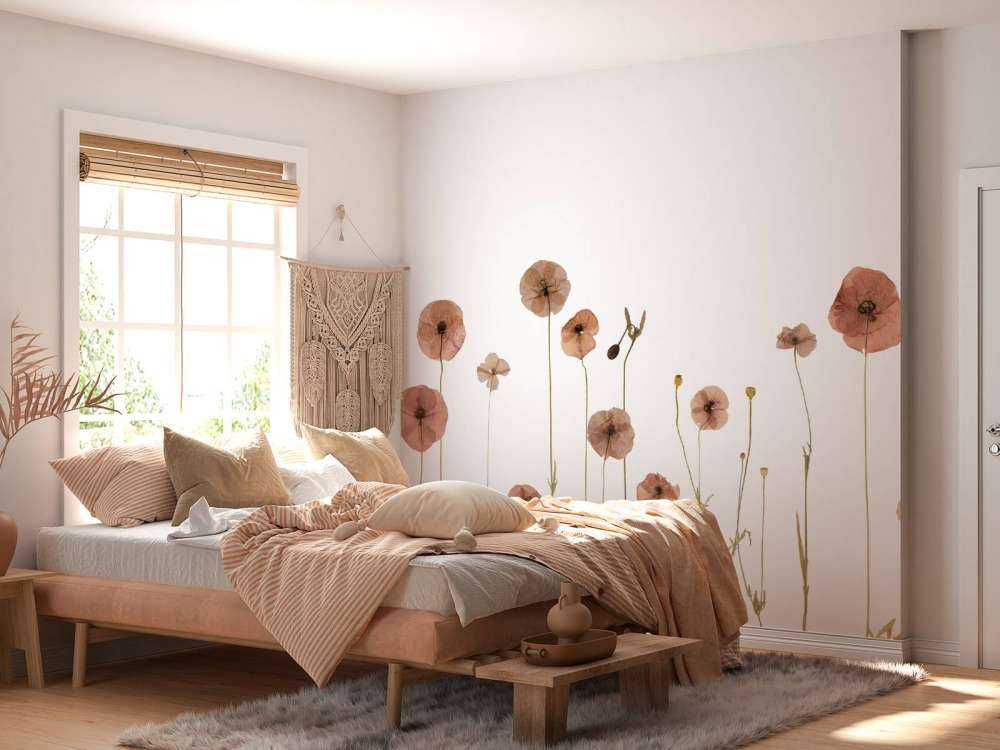 Poppy flower field colourful