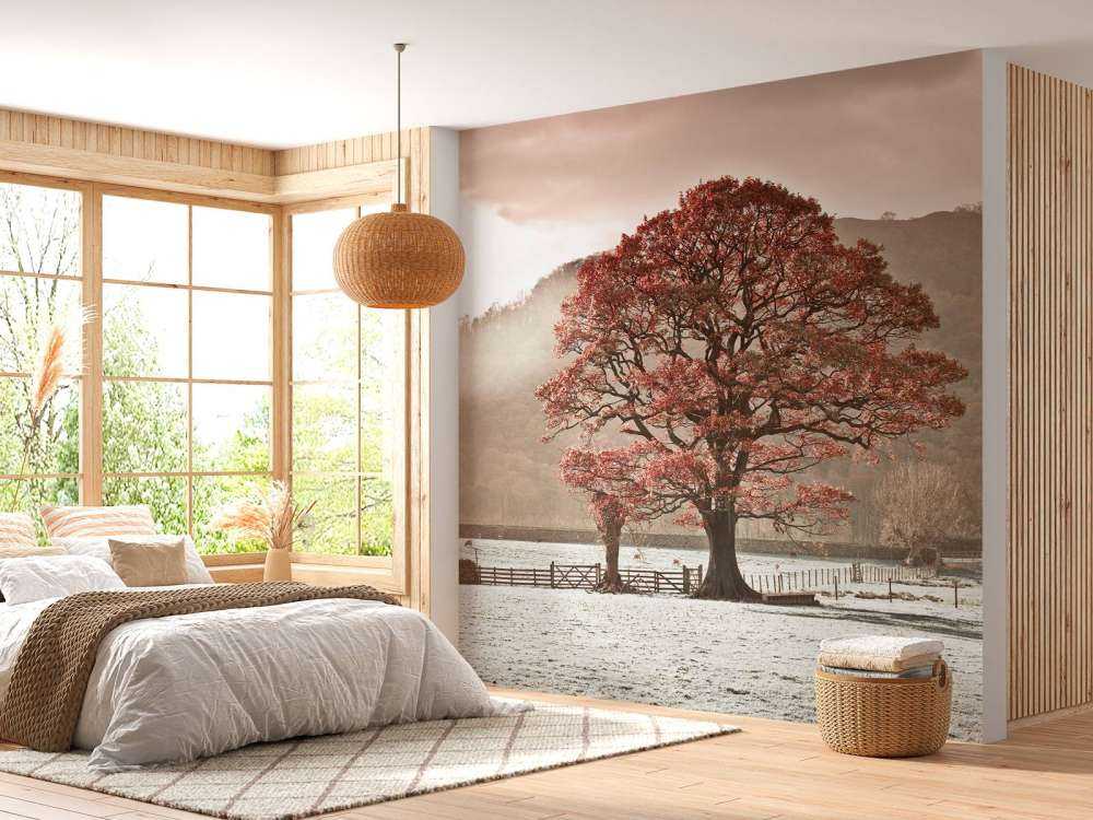 Oak tree in winter