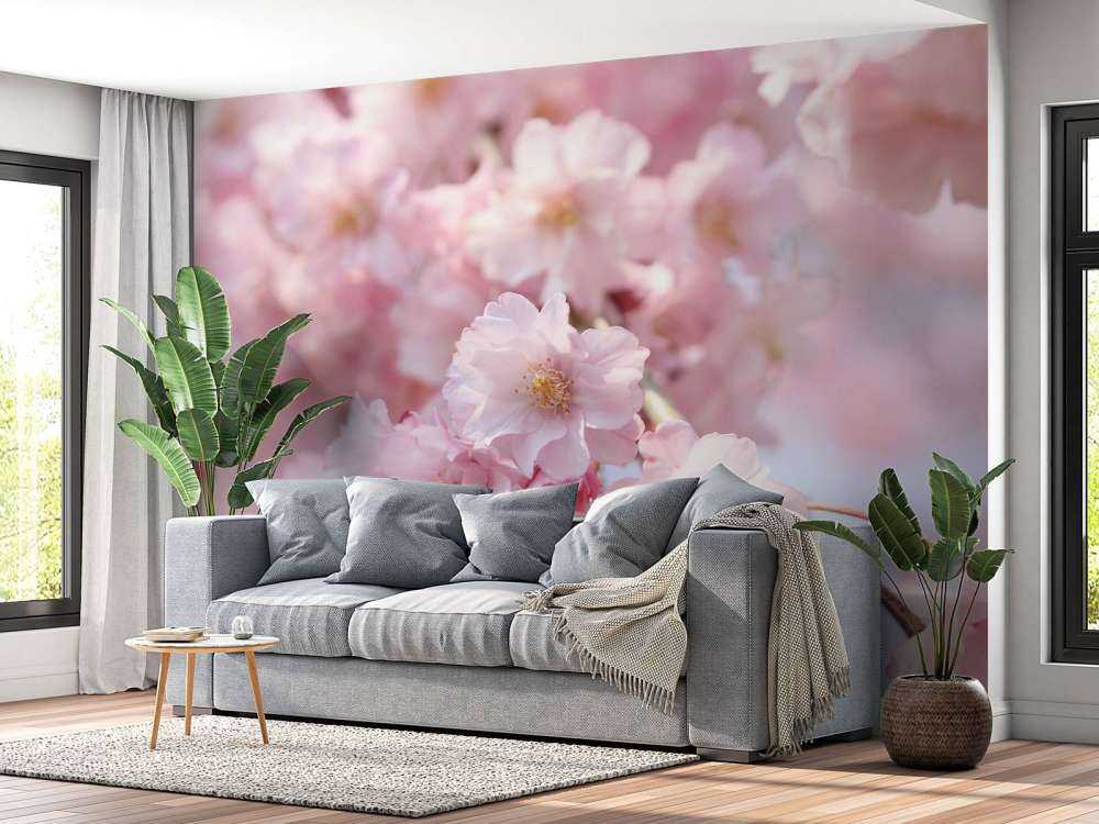 Close-up pink blossoms