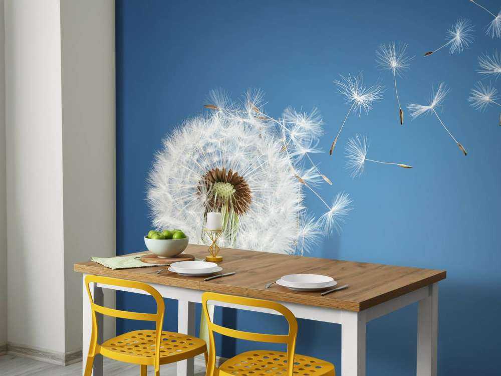 Dandelion