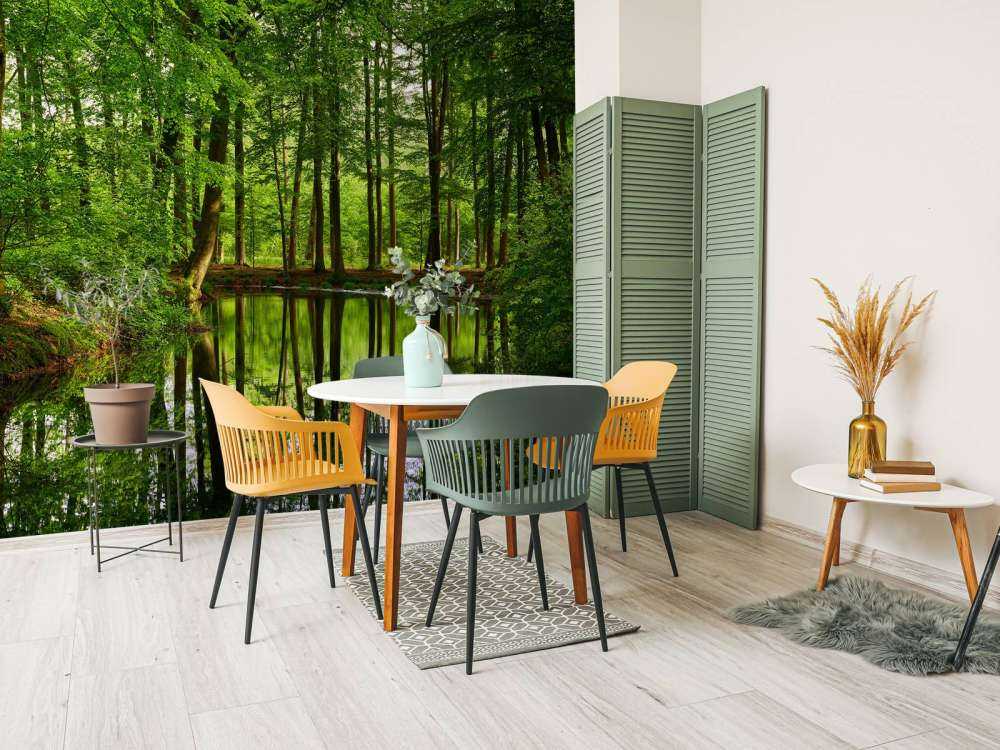 Reflection of trees in water