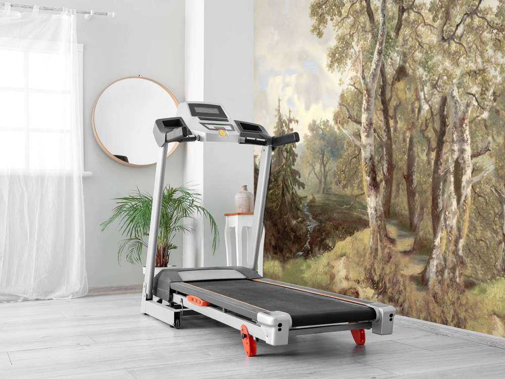 Forest Landscape Color Panorama