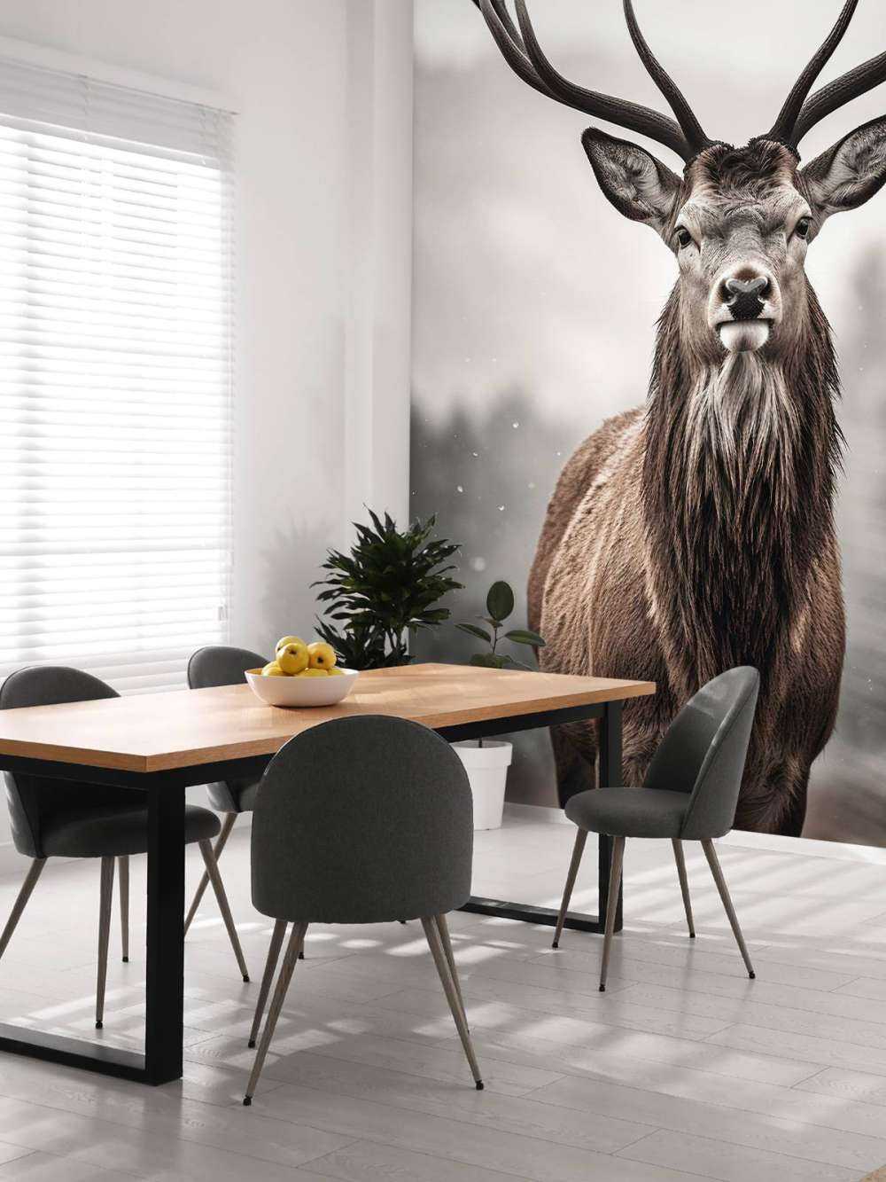 Winter King Deer Gaze