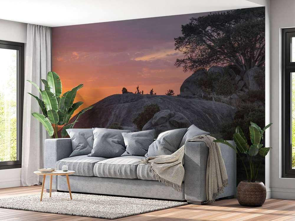 Sunset over the savannah