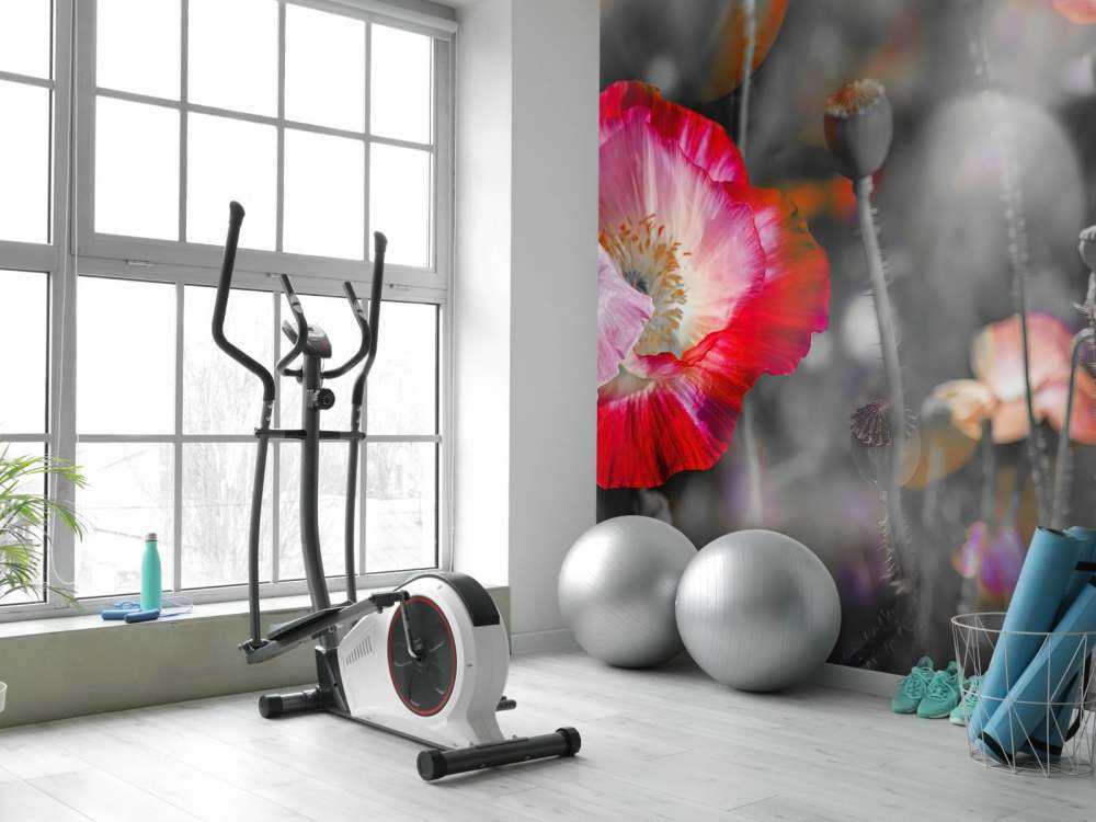 Poppies in black, white, red