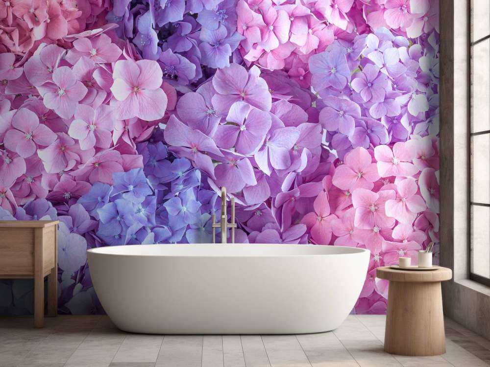 Colorful hydrangeas