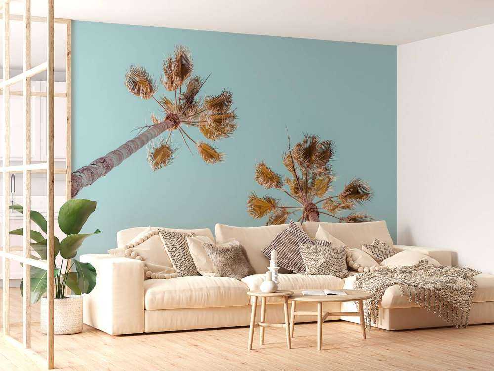 Palm trees with blue sky