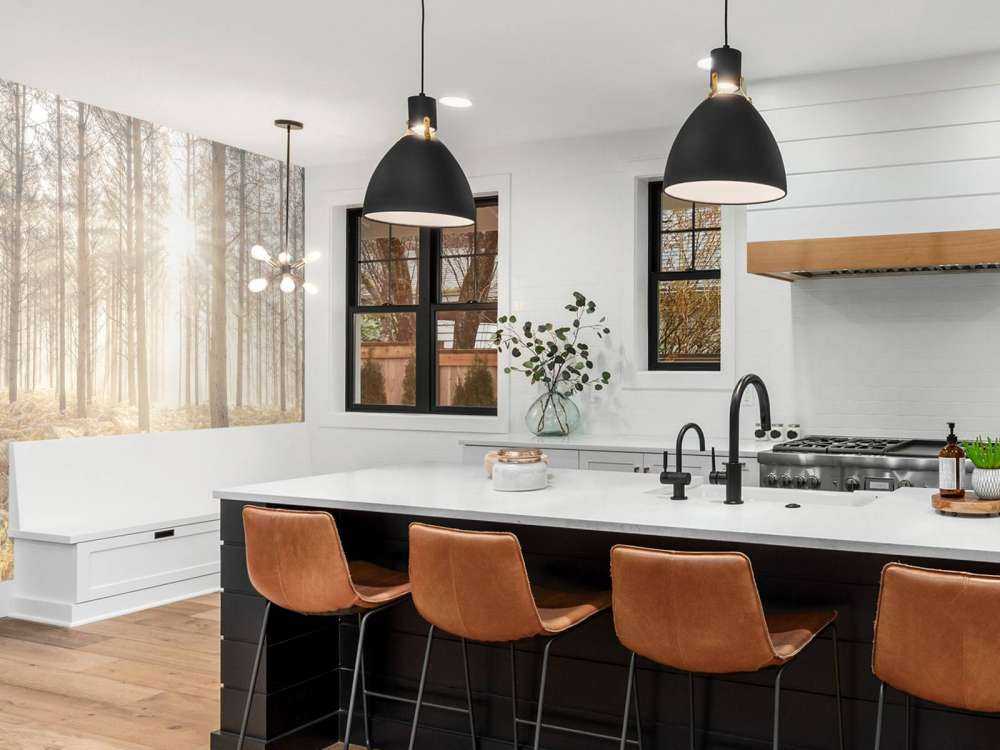 Sun rays in the cold forest