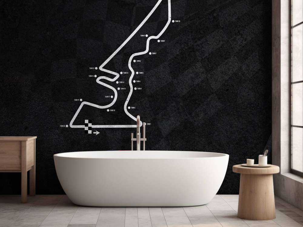 Formule 1 circuit - Circuit Of The Americas - America