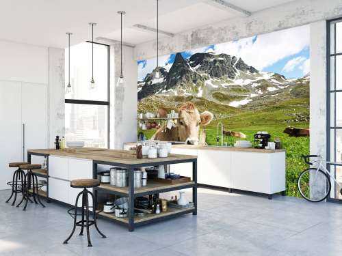 Austrian cow