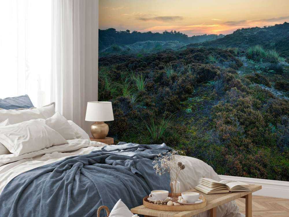 Heuvelachtig heidegebied