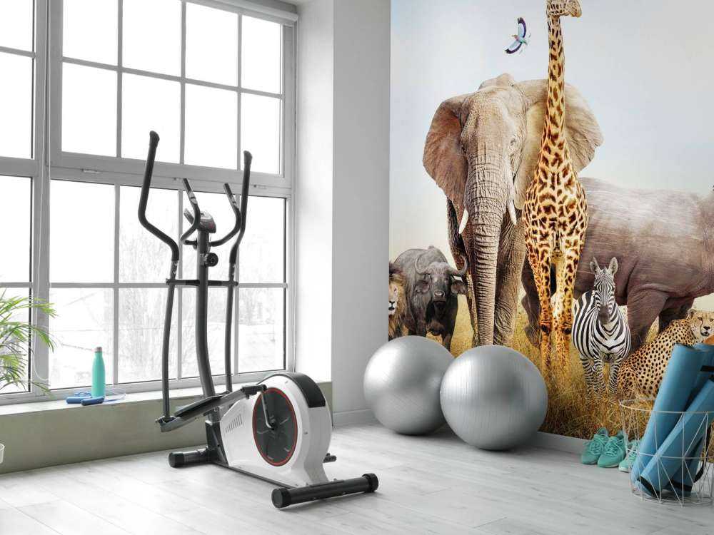 Animals in the savannah