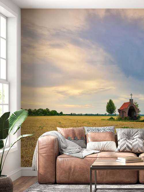 Grain field