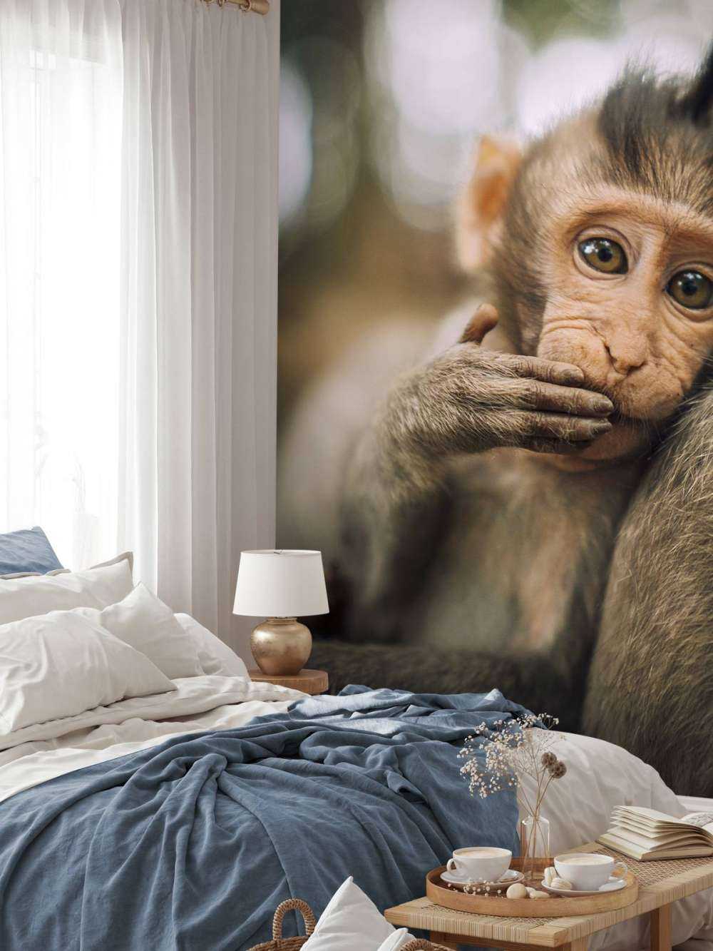 Close-up of a monkey