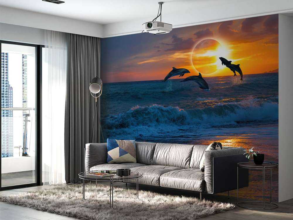 Dolphins with sunset