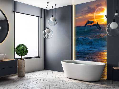 Dolphins with sunset