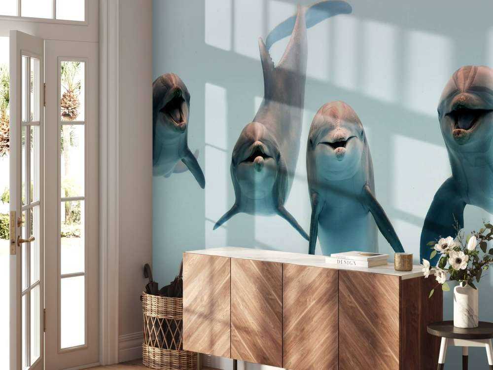 Laughing dolphins