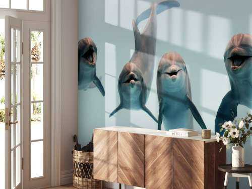 Laughing dolphins